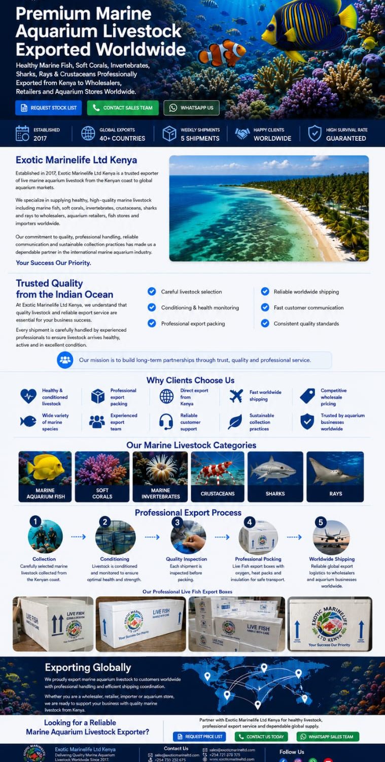 Exotic Marinelife Limited Kenya 1 - Exotic Marine Limited